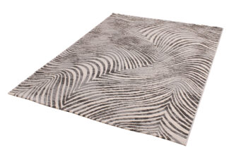 Zebra – 1 av 2